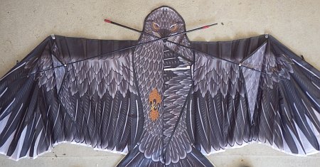 Eagle assembly - step 5