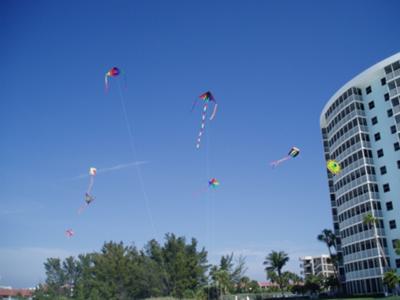 Kites on Siesta Key Beach