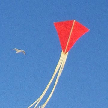 The MBK Paper Diamond in flight.