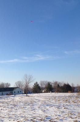 Hawk kite on light line