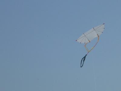 Genki with loop tail