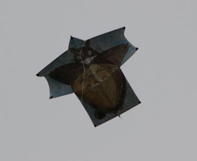 Kite up in the air (at 200 feet on a cloudy day)