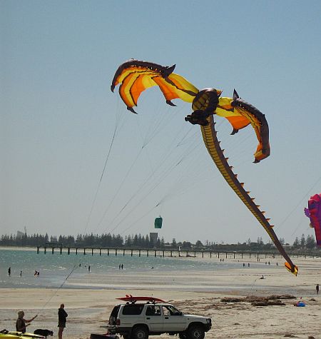 Of all the great kites we saw in 2008, this Dragon Inflatable was my favorite! Of all the great kites we saw in 2008, this Dragon Inflatable was my favorite!