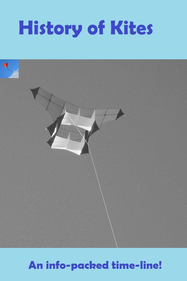 Kite?” Where did that come from?