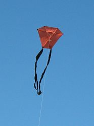 The MBK 2-Skewer Barn Door