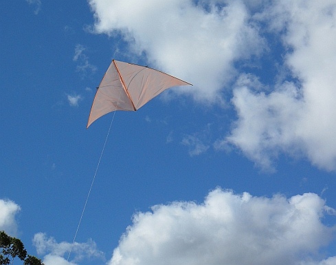 The MBK Dowel Delta floating on a light breeze.