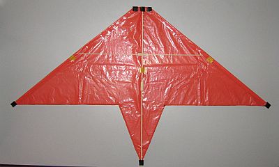 The 2-Skewer Delta - leading edges taped and spars capped.