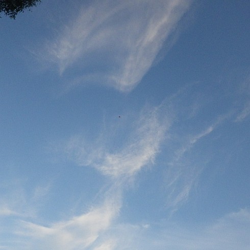 The 2-Skewer Delta kite in flight. The 2-Skewer Delta kite in flight.