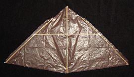 The 1-Skewer Delta - where the bamboo skewers go.