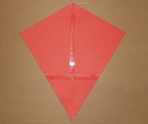 The Paper Diamond kite - sail cut out.