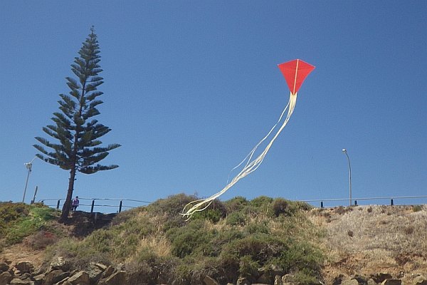The MBK Paper Diamond kite in flight.