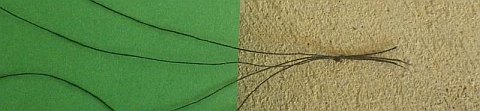 The Paper Rokkaku kite - a close look at the bridle knot after excess thread trimmed off.