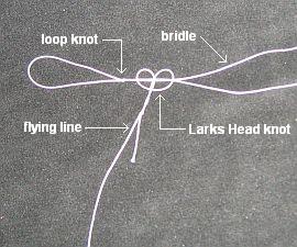 Attaching the flying line to the bridle.