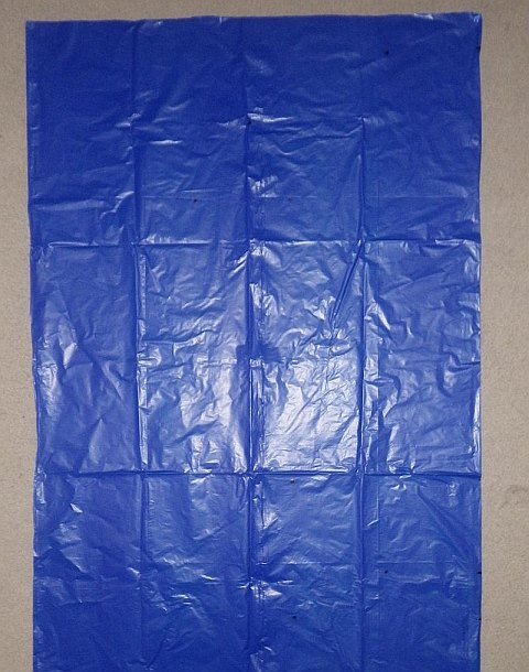 The Octopus kite - plastic flipped, dots traced. The Octopus kite - plastic flipped, dots traced.