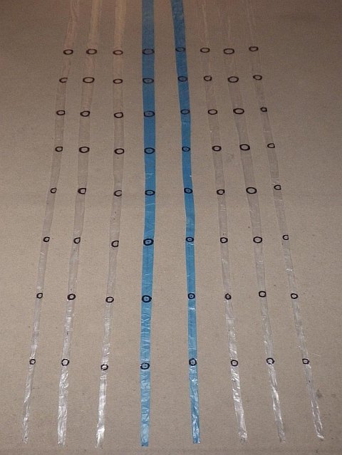 The Octopus kite - suckers drawn onto the tapered section of each tail – 64 in all.