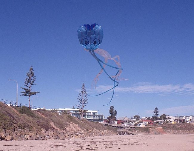 The MBK Octopus kite - attach line, inflate, let out line.