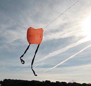 Home-made Sled kite with twin tails
