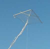 Little Delta kite