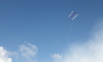 The MBK Indoor Sled kite flying over our side lawn.