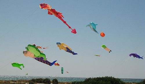 Inflatable Kites In 2008 - group of large kites. Inflatable Kites In 2008 - group of large kites.