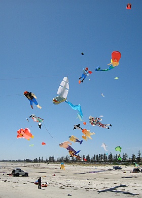 Some of the inflatable kites in 2008. Some of the inflatable kites in 2008.