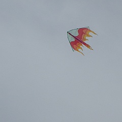 light-wind delta kite