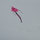 smiley delta kite