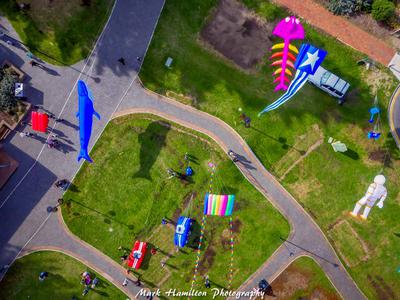 Kite aerial photography - view of large inflatables, taken by a member of our local kite club.