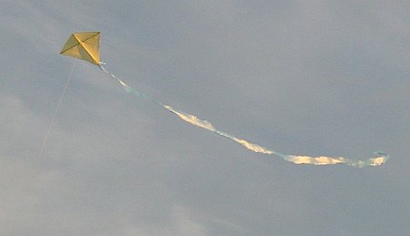 The Tiny Tots Diamond kite in flight.