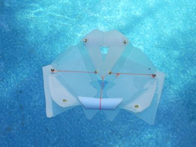 Kite For Land or Sea