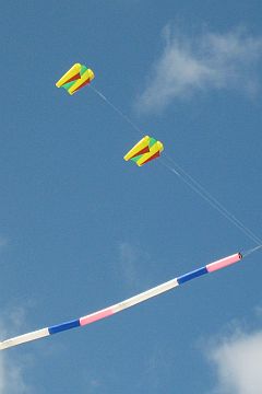 Colorful twin Sled kites with ram-air spars Colorful twin Sled kites with ram-air spars