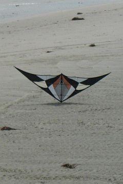 A large black and white sport kite balancing on its nose, on the sand A large black and white sport kite balancing on its nose, on the sand