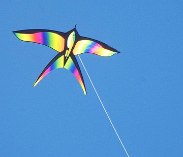 A colorful and stylized bird kite. Always a head-turner.