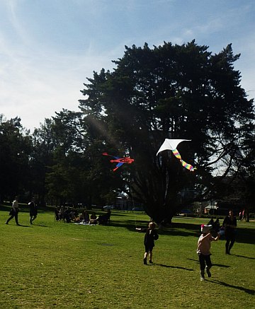 Spider-man and a delta being towed - popular kids' kites.