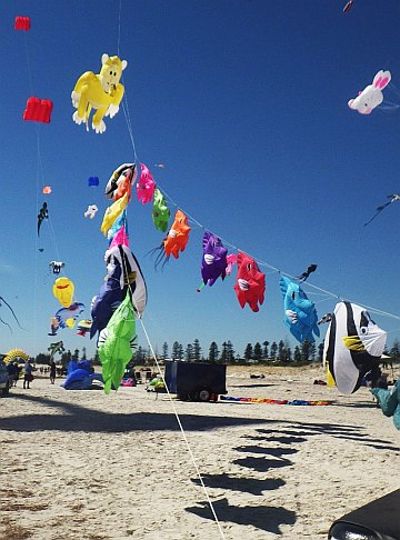 AIKF - marine line laundry!