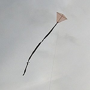 Kite plans, as opposed to step-by-step instructions, are handy for experienced kite builders. Here's plans for dowel / bamboo sparred kites with plastic sails.