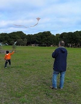 Kite Fighting for Kids through Books and More