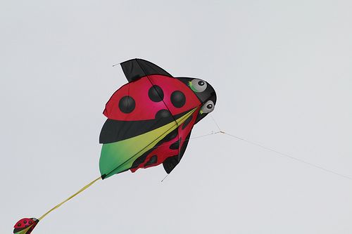 Unique and creative Ladybug kite.