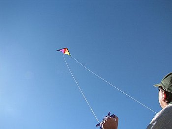 Most people learn kite stunts on a dual-line Delta like this one.