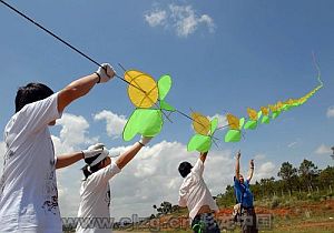 Very long kite train. Very long kite train.