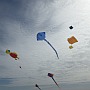 Adelaide Kite Festival 2015 - big Rays and Parafoils.