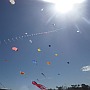 Adelaide Kite Festival 2015 - long train by Japanese kite master.