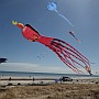 Adelaide Kite Festival 2015 - it's not the same without at least one huge Octopus.