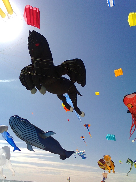Adelaide Kite Festival 2015 - black pegasus inflatable kite