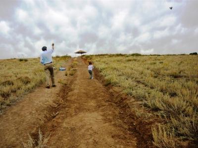 Barn Door Kite On Its Way Up