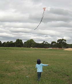 Let's Go Fly A Kite