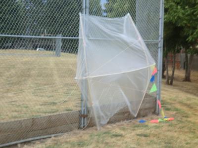The Rok pinned against a fence!