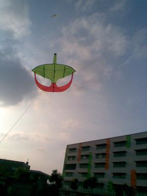 Moon Kite Flying 2