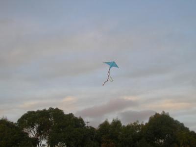 Blue garbage bags and an Aussie sunset 