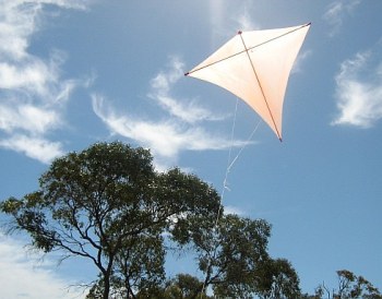 The original Dowel Diamond in flight.